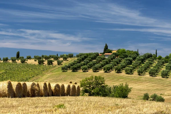 Paisagem rural em Maremma no verão — Fotografia de Stock