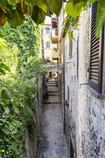 Capalbio, historic village in Maremma, Tuscany — стокове фото