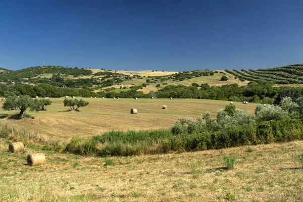 Krajobraz wiejski w pobliżu Tuscania, Lacjum — Zdjęcie stockowe