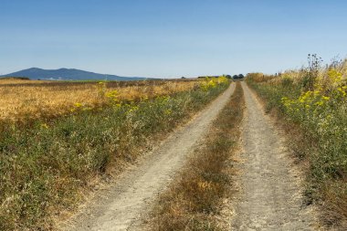 Capalbio 'dan Tarquinia' ya köy yolu