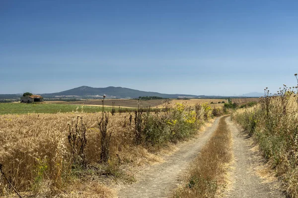 Country road from Capalbio to Tarquinia — Stock Photo, Image