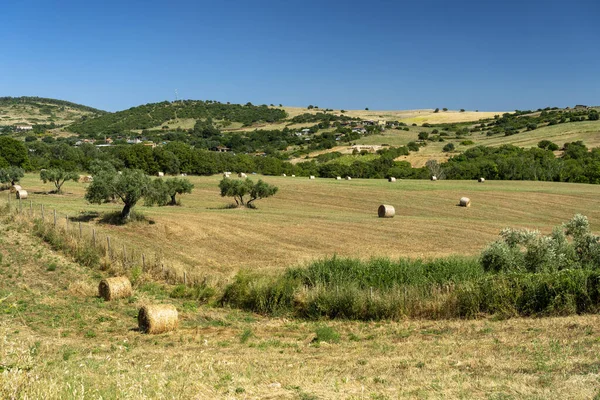 Paisaje rural cerca de Tuscania, Lazio — Foto de Stock