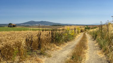 Capalbio 'dan Tarquinia' ya köy yolu