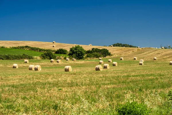 Paisagem rural no verão perto de Bracciano, Roma — Fotografia de Stock