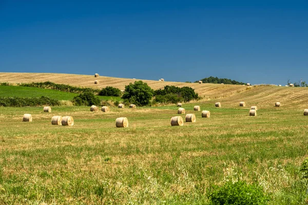 Ländliche Landschaft im Sommer in der Nähe von Bracciano, Rom — Stockfoto