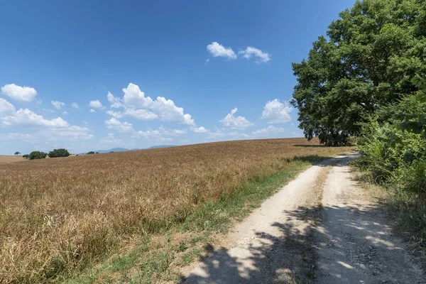 Paysage rural dans la province de Rome — Photo