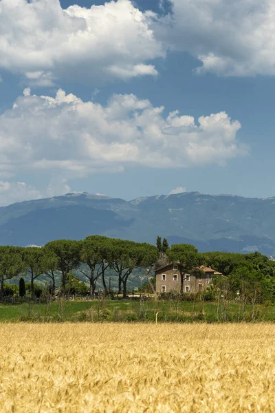 Paysage rural dans la province de Rome — Photo