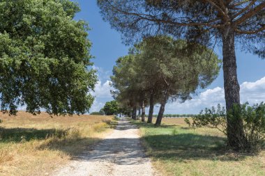 Roma eyaletinde kırsal alan