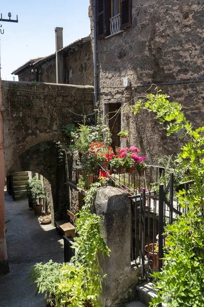 Faleria, village historique en Italie — Photo