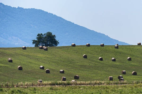 Paisaje rural cerca de Velletri en verano —  Fotos de Stock