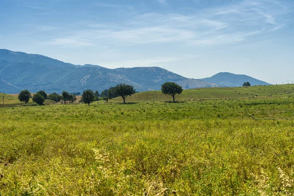 Paisaje rural cerca de Velletri en verano — Foto de Stock
