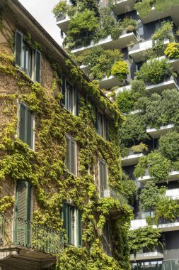Bosco Verticale ve Milan 'daki eski bina