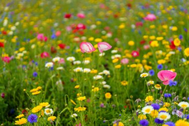 Milan, Lombardy, İtalya: Biblioteca degli Alberi 'de ilkbaharda çiçekler, Gae Aulenti Meydanı yakınlarındaki modern park