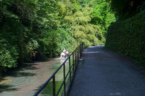 阿德达河 蒙扎布里安扎 意大利伦巴第的自行车道 还有水里的一匹白马 — 图库照片