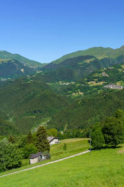 Krajobraz Górski Lecie Wzdłuż Drogi Przełęczy Vivione Bergamo Lombardia Włochy — Zdjęcie stockowe
