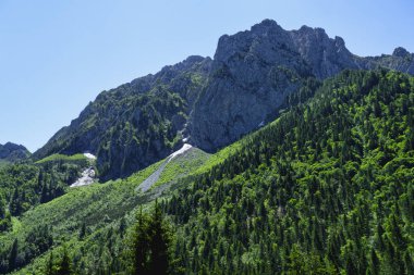Yazın Vivione geçidi boyunca uzanan dağ manzarası, Bergamo, Lombardy, İtalya