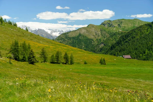 Berglandschaft Sommer Entlang Der Straße Zum Vivione Pass Bergamo Lombardei — Stockfoto