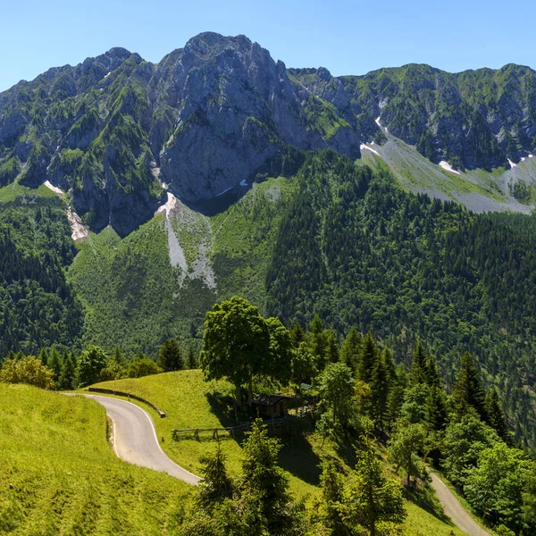 意大利伦巴第Bergamo通往Vivione山口的路上夏季的山地景观 — 图库照片