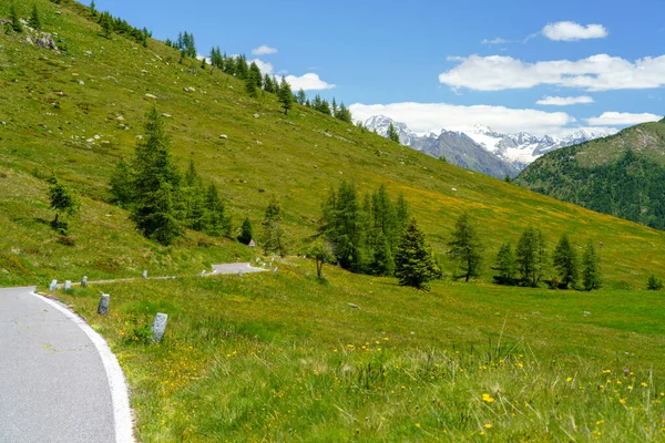 Krajobraz Górski Lecie Wzdłuż Drogi Przełęczy Vivione Bergamo Lombardia Włochy — Zdjęcie stockowe