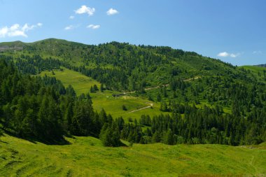 Yaz mevsiminde İtalya 'nın Lombardiya bölgesindeki Brescia eyaletinde Crocedomini geçidi boyunca uzanan dağ manzarası..