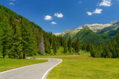 Yaz mevsiminde İtalya 'nın Lombardiya bölgesindeki Brescia eyaletinde Crocedomini geçidi boyunca uzanan dağ manzarası..