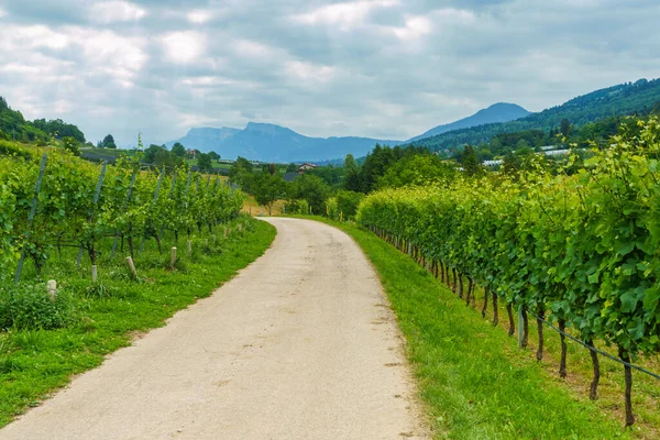 Vidéki Táj Valsugana Trento Trentino Alto Adige Közel Vigolo Vattaro — Stock Fotó