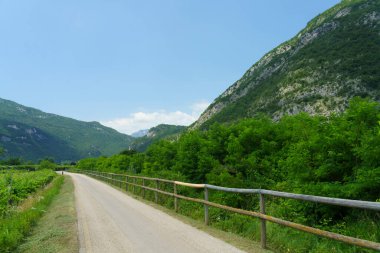 Torbole 'den Rovereto' ya, Trento, Trentino Alto Adige, İtalya 'ya giden bisiklet yolu boyunca viyolonsel ve elma bahçeleri var.