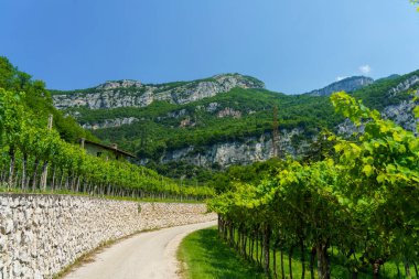 Torbole 'den Rovereto' ya, Trento 'ya, Trentino Alto Adige, İtalya' ya giden bisiklet yolu boyunca VIP 'ler var.