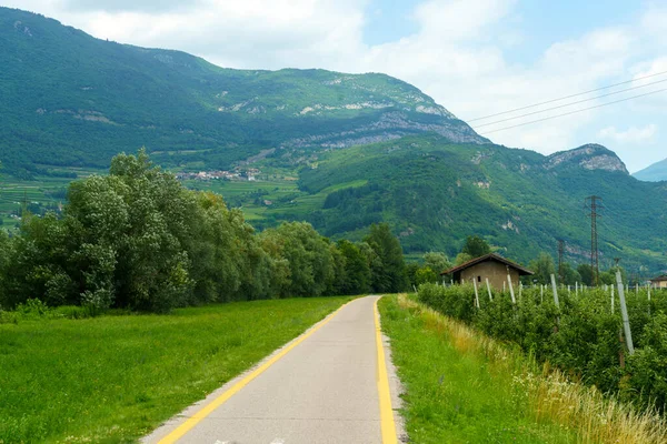 Vineyard Jablečné Sady Podél Cyklostezky Torbole Rovereto Trento Trentino Alto — Stock fotografie