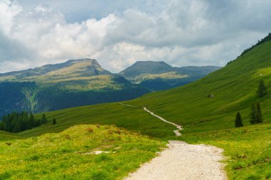 Dolomitlerin dağlık arazisi yazın Venegia Vadisi, Trento, Trentino Alto Adige, İtalya