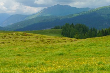Dolomitlerin dağlık arazisi yazın Venegia Vadisi, Trento, Trentino Alto Adige, İtalya
