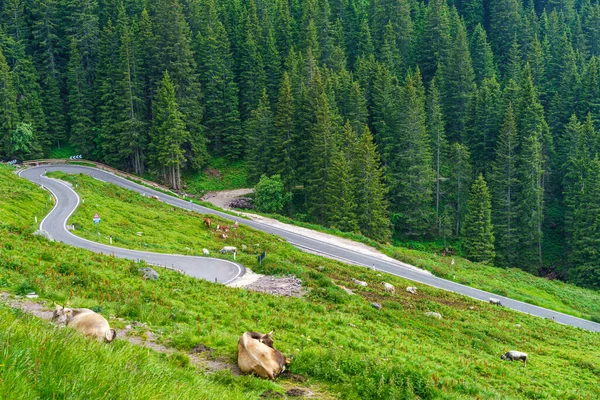 Paisagem Montanhosa Verão Longo Estrada Para Manghen Pass Trento Trentino — Fotografia de Stock