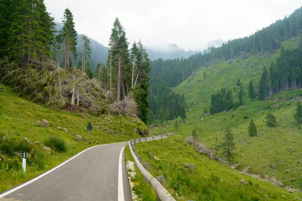 Paisagem Montanhosa Verão Longo Estrada Para Manghen Pass Trento Trentino — Fotografia de Stock