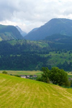 Yaz mevsiminde Cavalese yakınlarındaki Dolomites, Trentino Alto Adige, İtalya