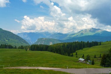 Yaz aylarında Dolomitlerin dağ manzarası Rolle Pass, Trento, Trentino Alto Adige, İtalya