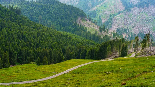 Paisagem Montanhosa Verão Longo Estrada Para Manghen Pass Trento Trentino — Fotografia de Stock