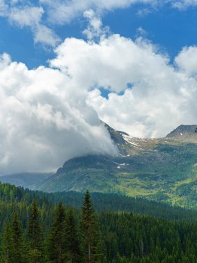 Yaz aylarında Dolomitlerin dağ manzarası Rolle Pass, Trento, Trentino Alto Adige, İtalya
