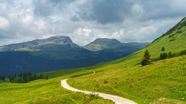 Dolomitlerin dağlık arazisi yazın Venegia Vadisi, Trento, Trentino Alto Adige, İtalya
