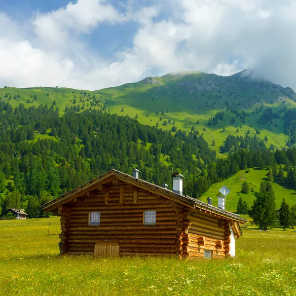 Mountain Landscape Summer Road Rolle Pass Trento Trentino Alto Adige — Stock Photo, Image