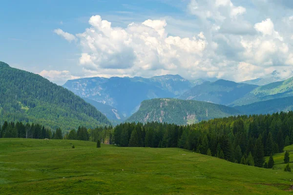 Yaz aylarında Dolomitlerin dağ manzarası Rolle Pass, Trento, Trentino Alto Adige, İtalya