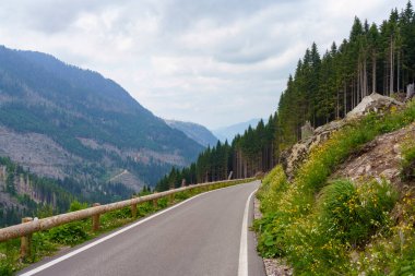 Yazın Manghen geçidi boyunca uzanan dağ manzarası Trento, Trentino Alto Adige, İtalya. Vaia fırtınası yüzünden devrilen ağaçlar