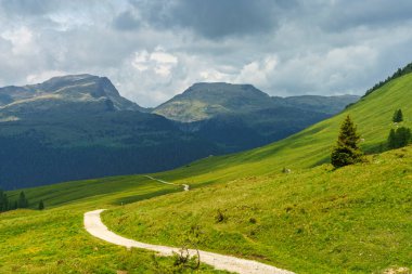 Dolomitlerin dağlık arazisi yazın Venegia Vadisi, Trento, Trentino Alto Adige, İtalya
