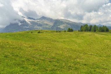 Dolomitlerin dağlık arazisi yazın Venegia Vadisi, Trento, Trentino Alto Adige, İtalya