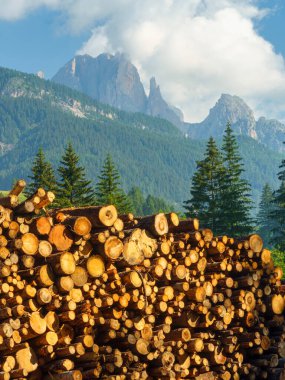 Moena 'dan Canazei' ye, Trento 'ya, Trentino Alto Adige, İtalya' ya, Fassa Vadisi 'nin bisiklet yolu boyunca yaz aylarında Dolomitlerin dağ manzarası