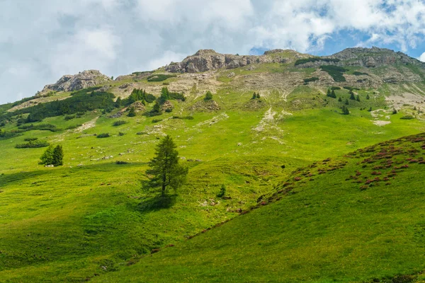 Dolomitlerin Dağlık Arazisi Yazın Venegia Vadisi Trento Trentino Alto Adige — Stok fotoğraf