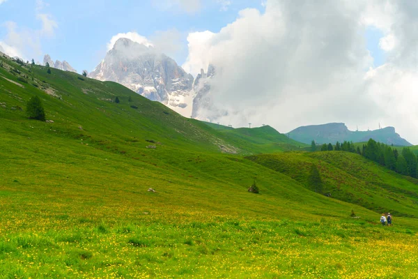 Dolomitlerin Dağlık Arazisi Yazın Venegia Vadisi Trento Trentino Alto Adige — Stok fotoğraf