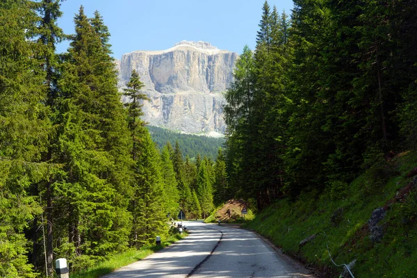 Berglandschaft Sommer Entlang Der Straße Zum Pordoipass Dolomiten Trentino Südtirol — Stockfoto