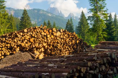 Moena 'dan Canazei' ye, Trento 'ya, Trentino Alto Adige, İtalya' ya, Fassa Vadisi 'nin bisiklet yolu boyunca yaz aylarında Dolomitlerin dağ manzarası