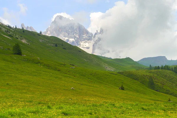 Dolomitlerin Dağlık Arazisi Yazın Venegia Vadisi Trento Trentino Alto Adige — Stok fotoğraf