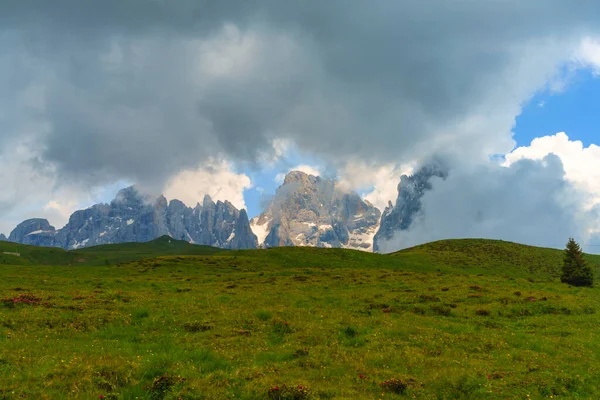 Horská Krajina Dolomit Létě Údolí Venegia Trento Trentino Alto Adige — Stock fotografie